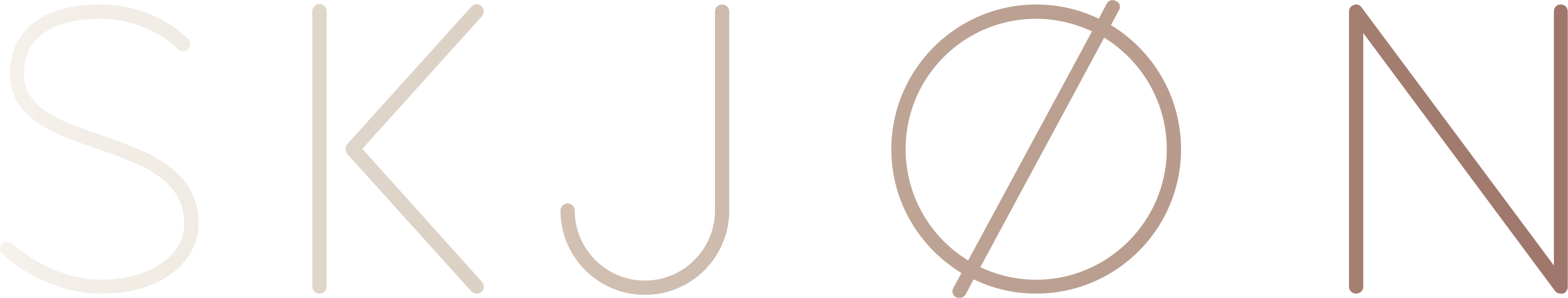 Skjøn